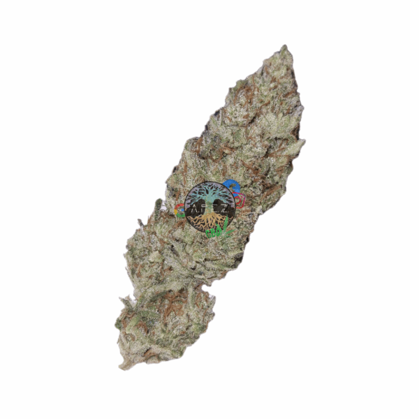 Plutonium CBD