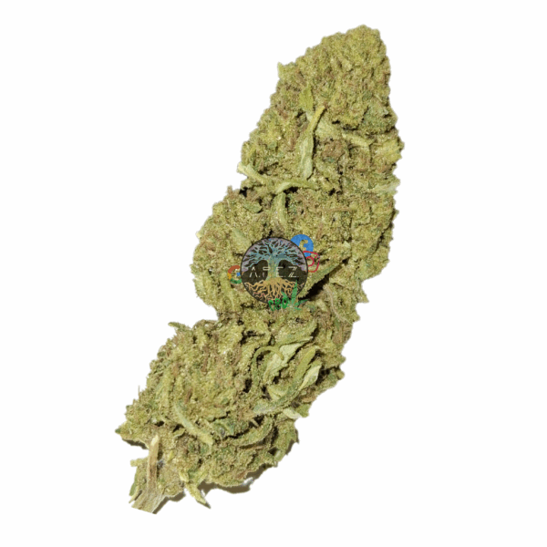 Cannatonic CBD