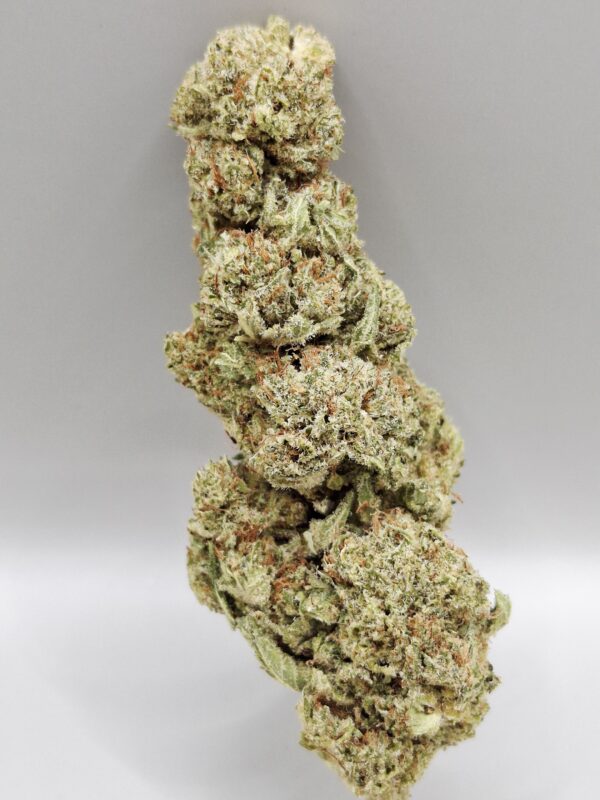 Lemon Pop Indoor