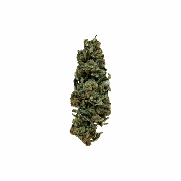 Sweet Rainbow CBD Bio