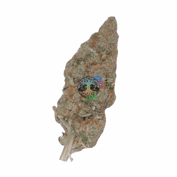 Jedi Gelato CBD