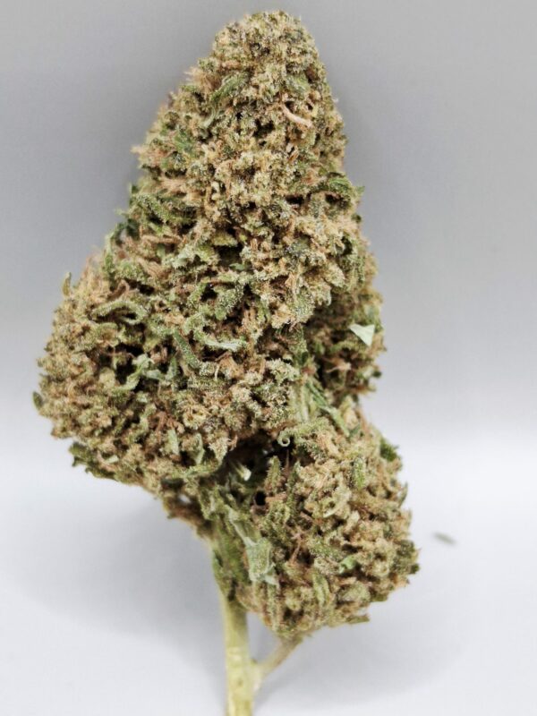Queen Sapphir CBD