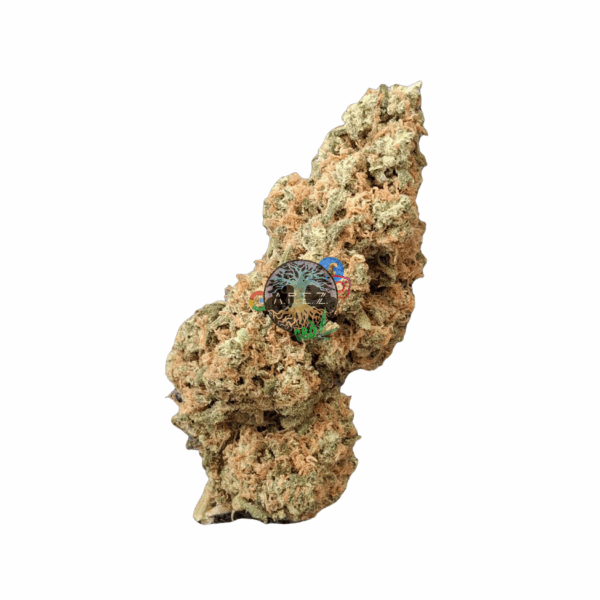 Moby Dick CBD