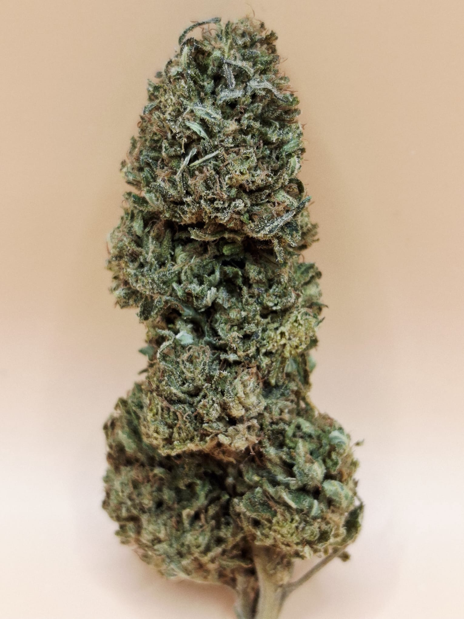 CakeberryBrulée11