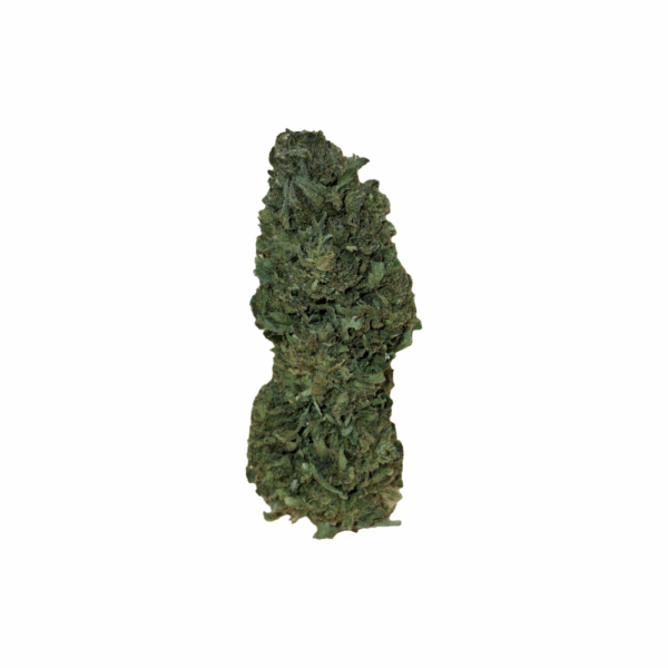 Mazzal Kush CBD Bio