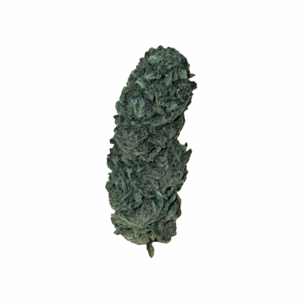 Cakeberry Brûlée CBD Bio