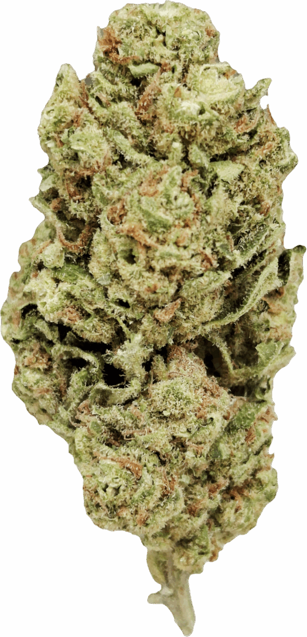 Amnesia US CBD – Image 2