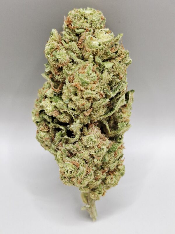 Amnesia US CBD