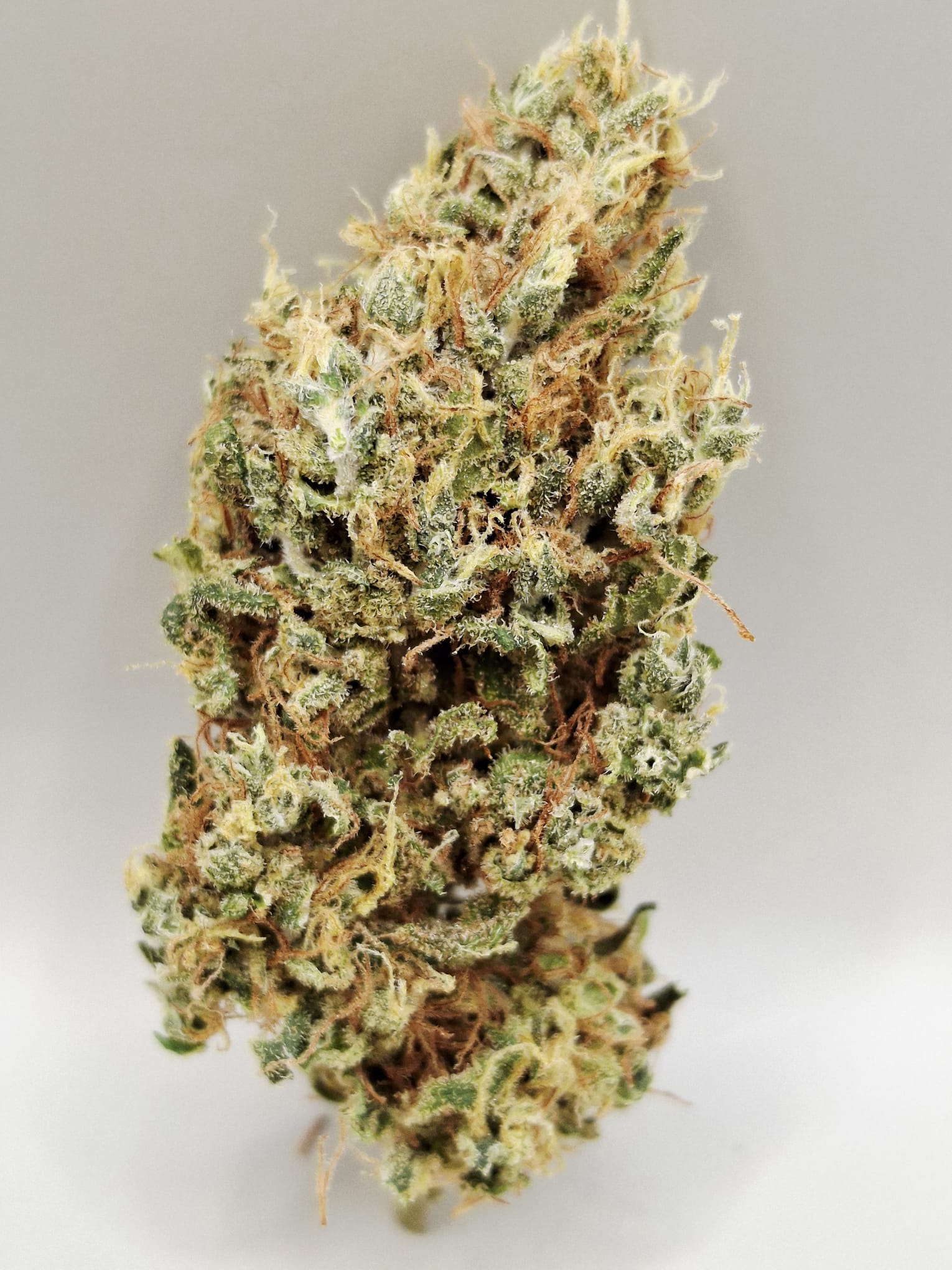 Boombastic Indoor Cbd Française