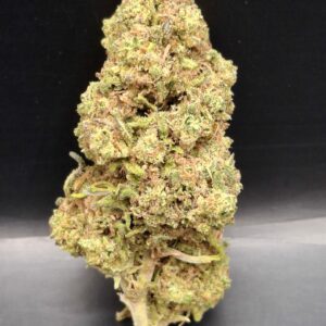 Blueberry Muffin CBD