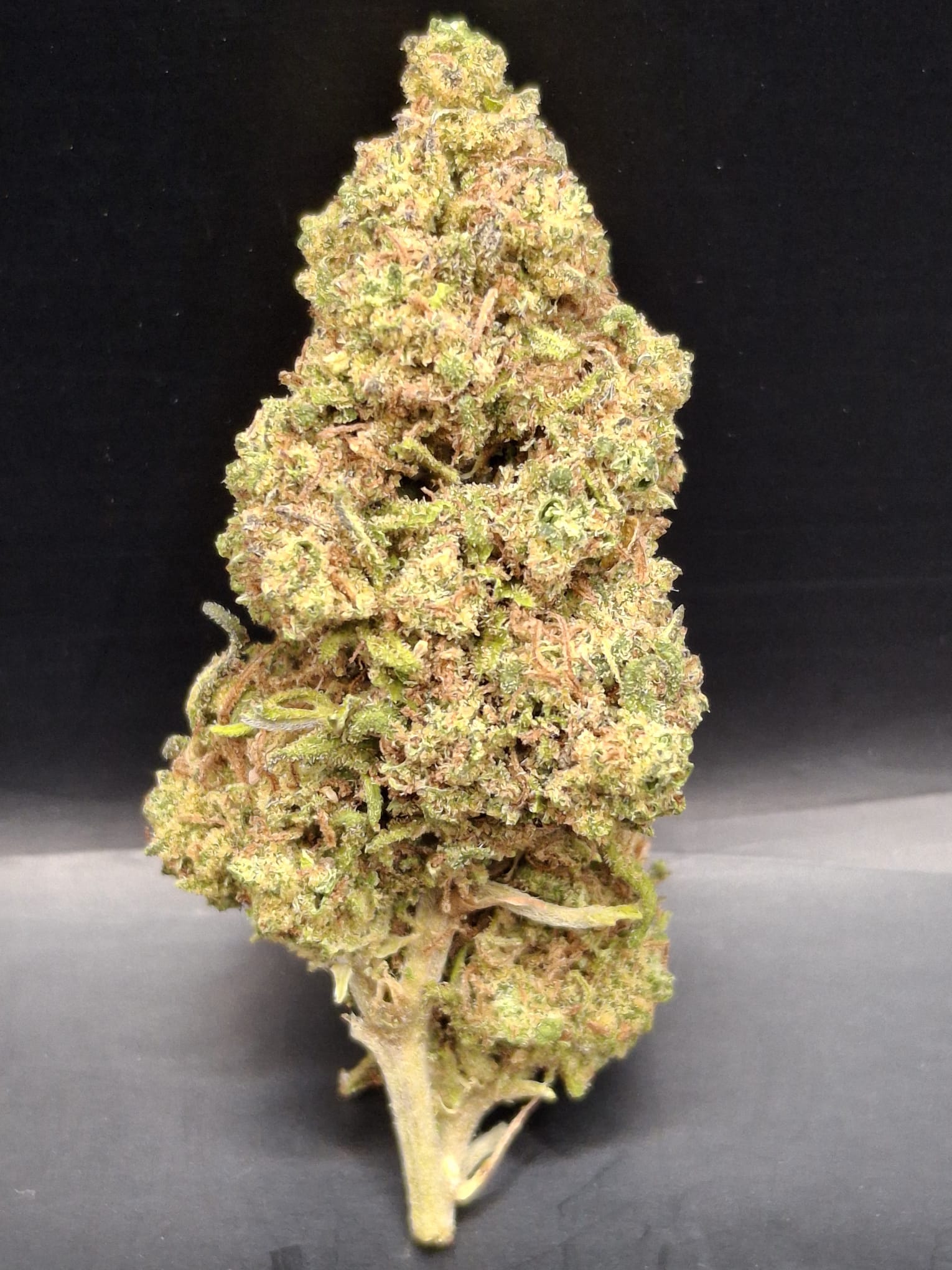 WhatsApp Image 2026-02-26 at 14.46.56