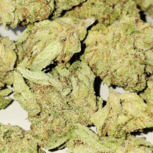 Cherry Pie Small Bud 10gr