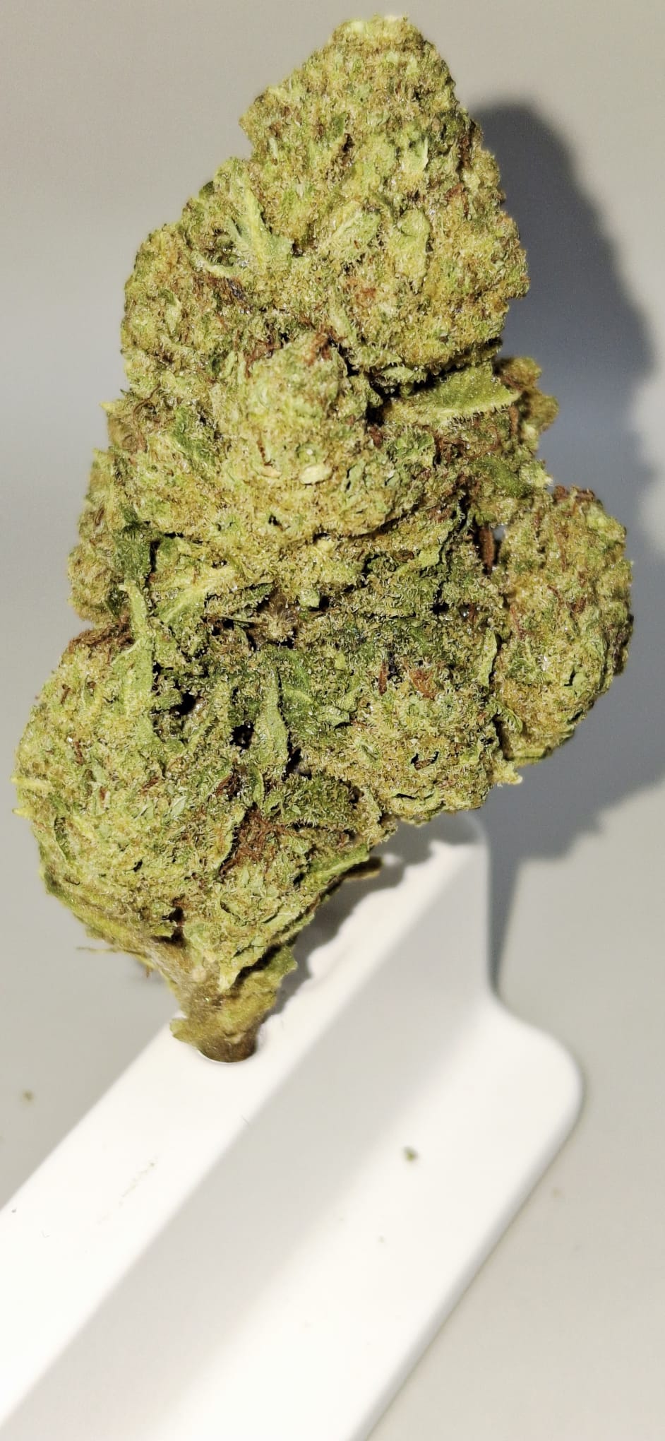 plutonuim cbd francaise