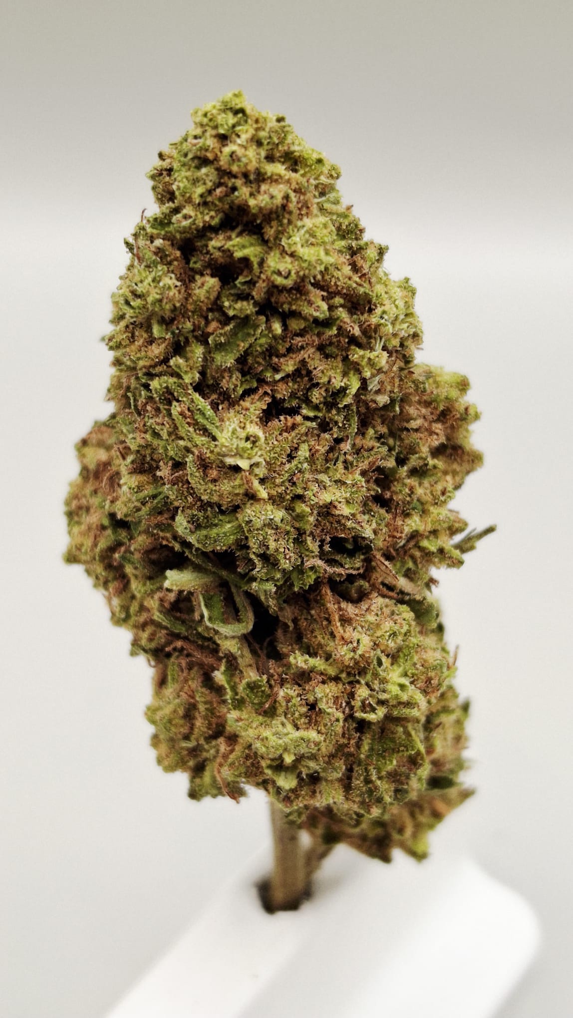 Remedy CBD