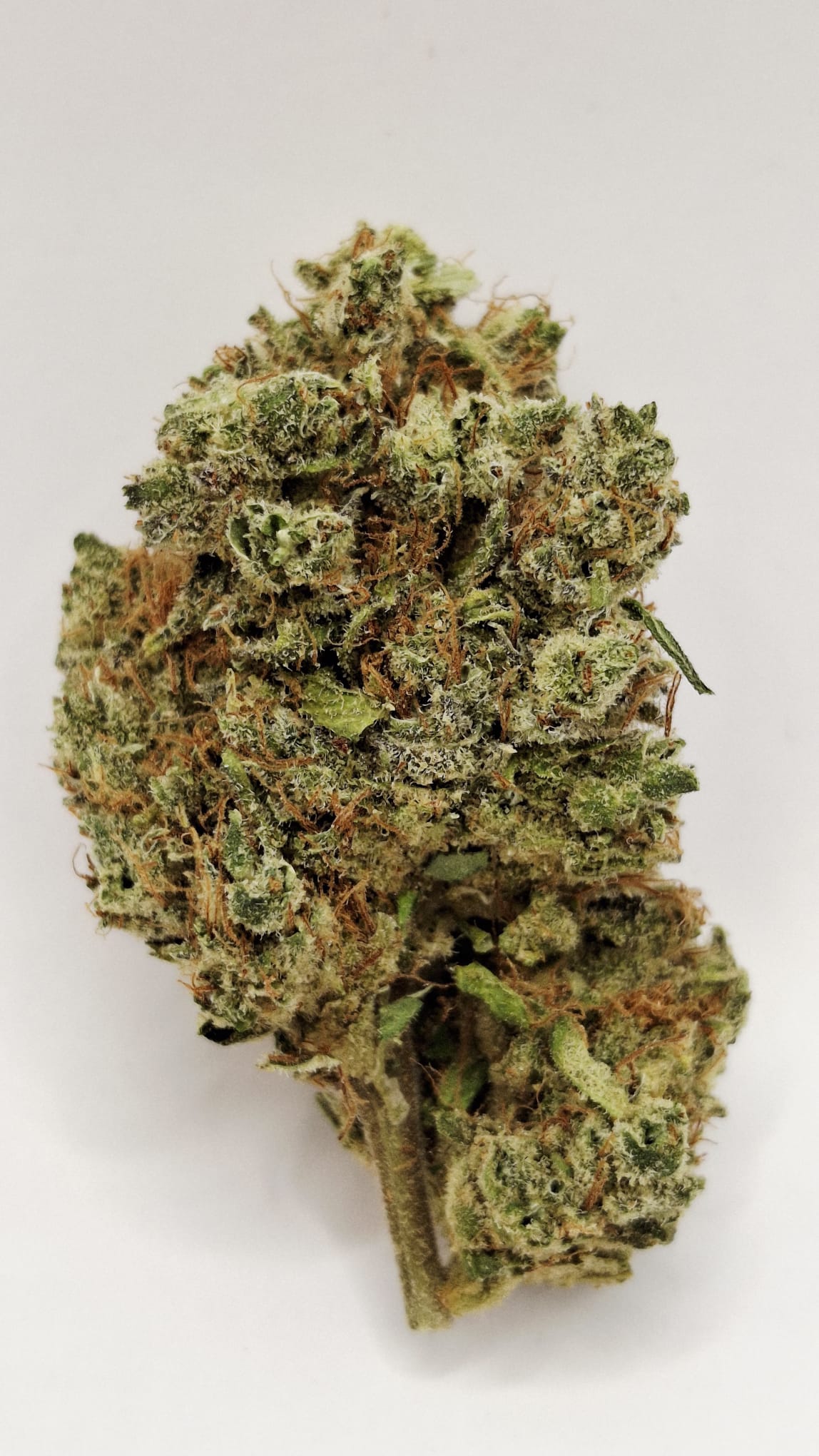 BlueDream sans flash