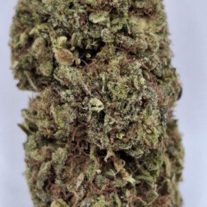 Golden Haze CBD 10gr