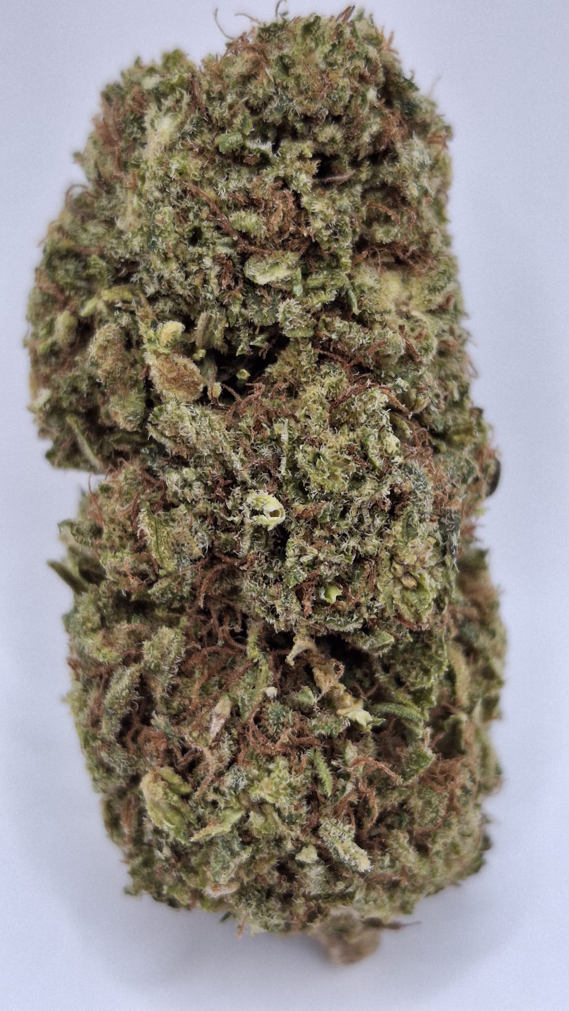 Golden Haze CBD